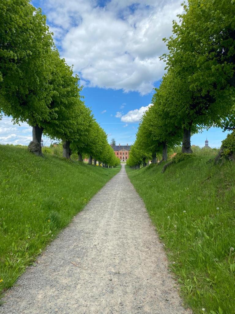 Ferienwohnung Uta Grundshagen エクステリア 写真