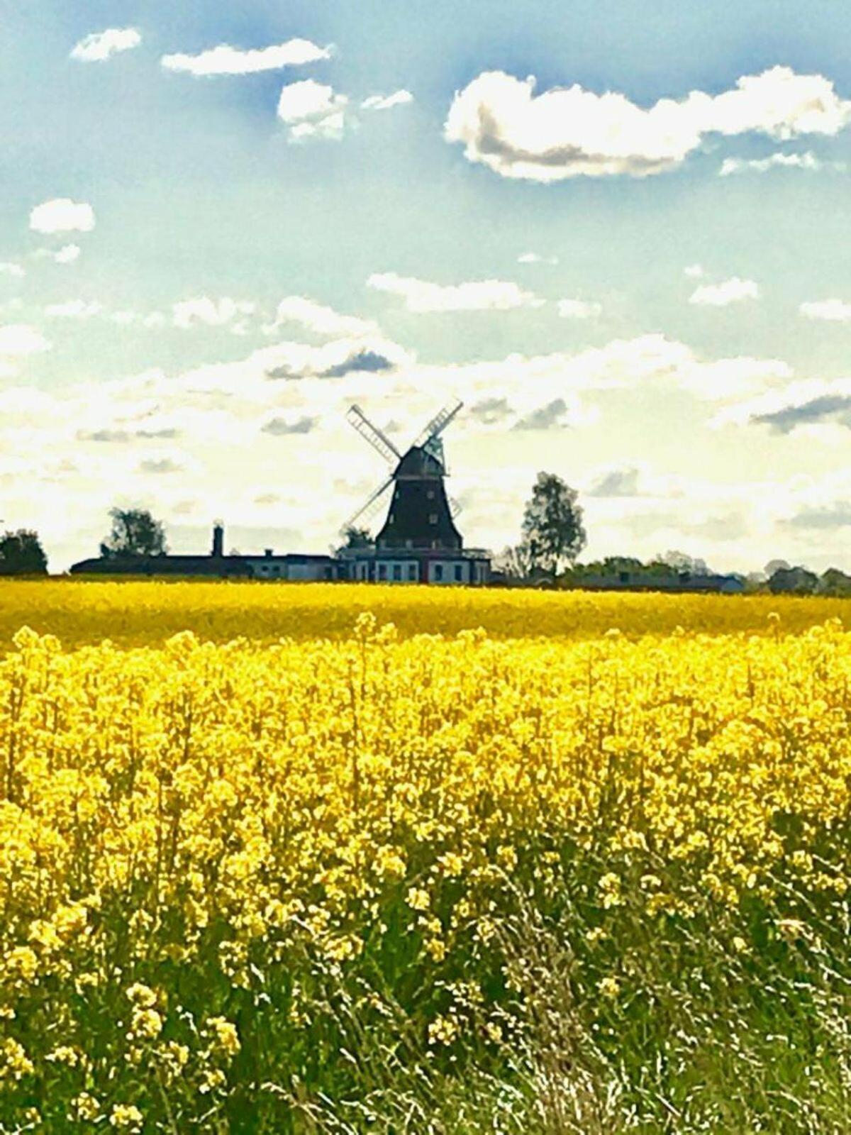 Ferienwohnung Uta Grundshagen エクステリア 写真